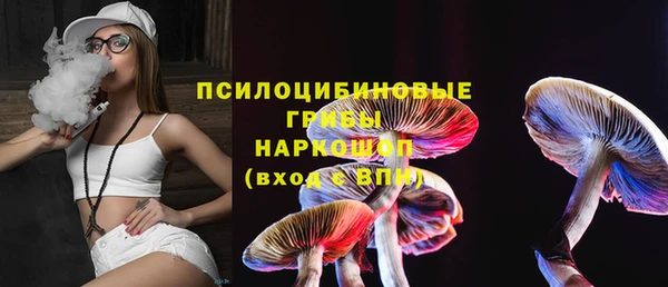 крисы Белоозёрский