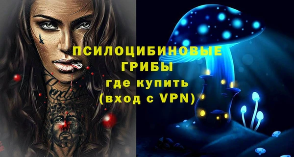 крисы Белоозёрский