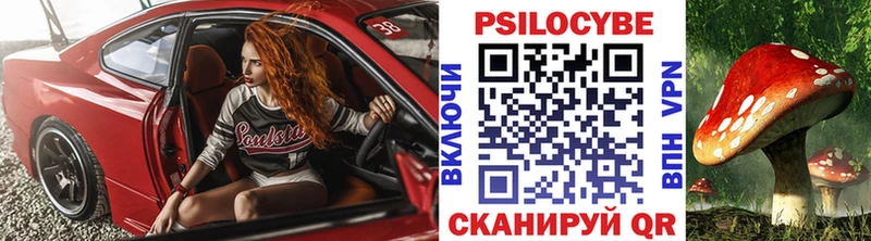 Галлюциногенные грибы Psilocybe Белокуриха